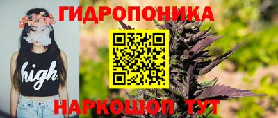 spice Краснознаменск