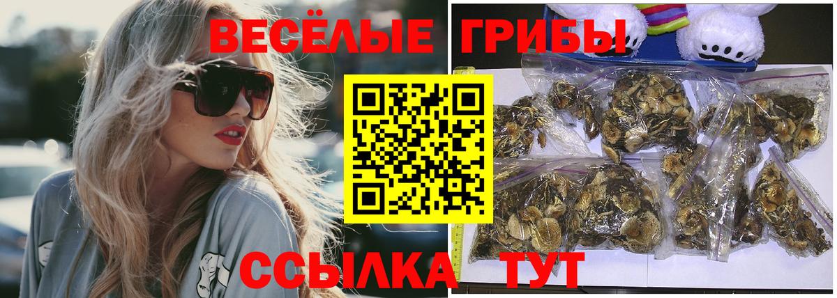 Псилоцибиновые грибы ЛСД Иваново
