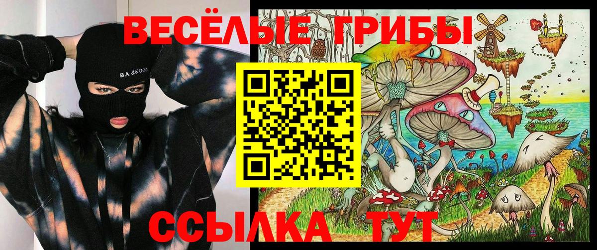 Галлюциногенные грибы мицелий  Вход с VPN  Иваново 